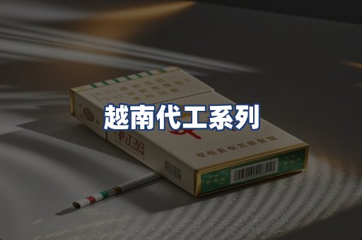 越南代工系列